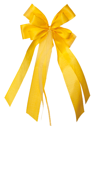 Schleife klein