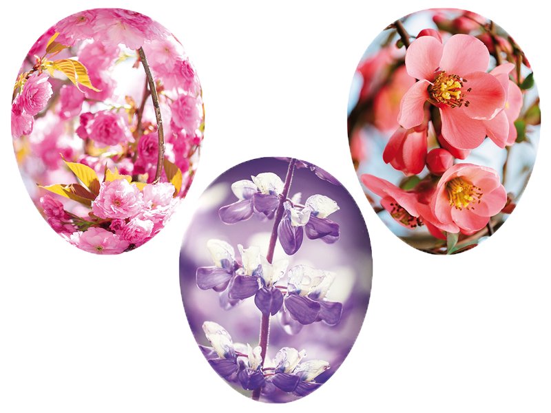 Frühlingsblumen - 3er Set